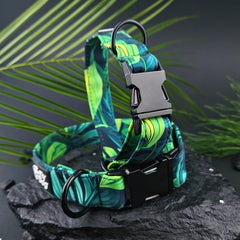 Flydog Luxury Monstera set 