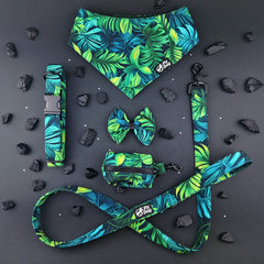 Flydog Luxury Monstera set 