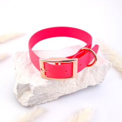 Flydog Colorful Pink Collar