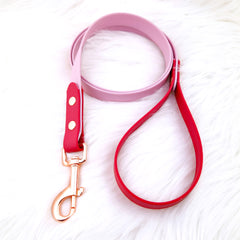 Colorful DUO Cherry Red &amp; Mauve Leash