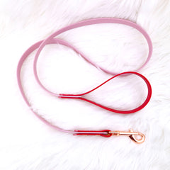 Colorful DUO Cherry Red &amp; Mauve Leash